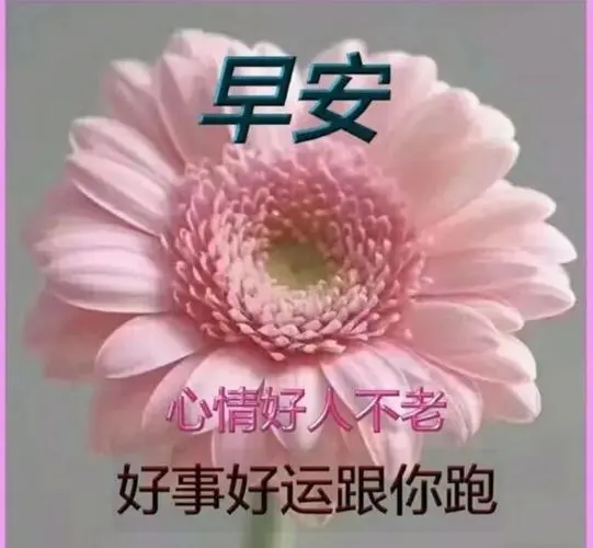 11张超有创意唯美的早上好图片,漂亮的早安表情带字带祝福语句子