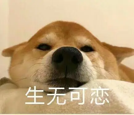 萌宠汪星人生无可恋无奈呆萌可爱gif动图_动态图_表情包下载_soogif
