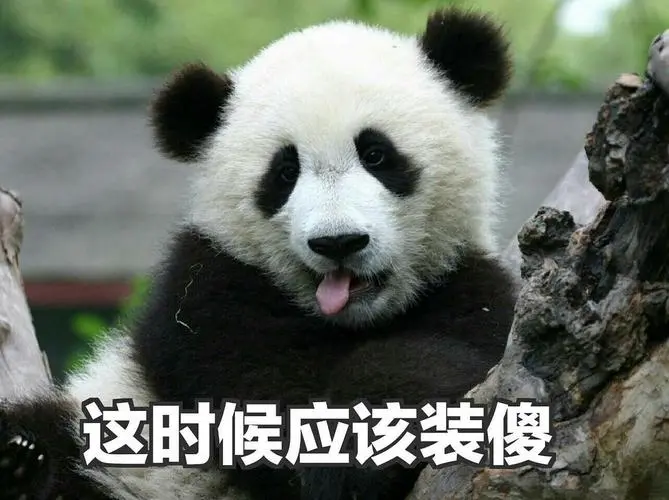 浠墨的相册-大熊猫表情包