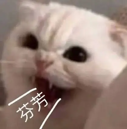 芬芳表情包