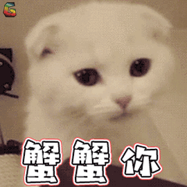 蟹蟹你谢谢你感谢soogifsoogif出品gif动图_动态图_表情包下载_soogif