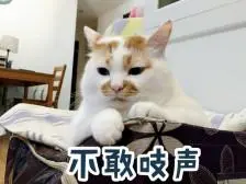 瑟瑟发抖