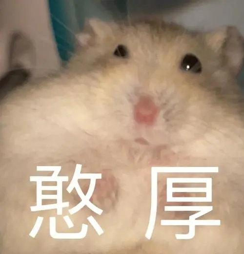 自制小仓鼠表情包来啦