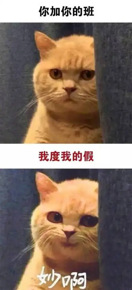 我度表情包