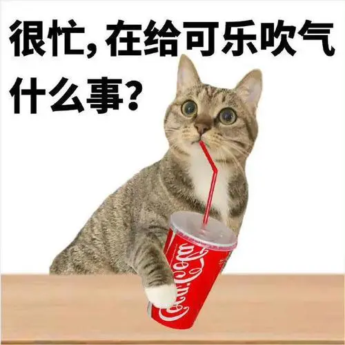 守时先锋,到点就走!搞笑喵咪表情包合集