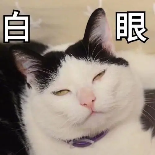 萌宠猫星人白眼难受呆萌可爱gif动图_动态图_表情包下载_soogif