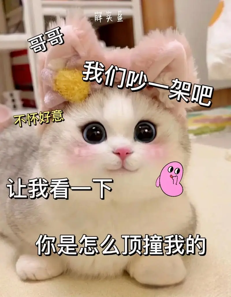 表情包#猫咪表情包-抖音