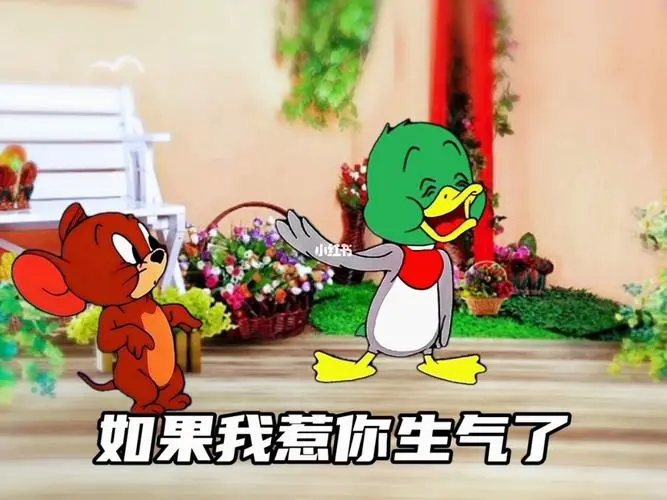 对不起我错了但下次我还敢