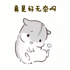 2岁多的他,英语听说连7岁孩子都感到惊讶!