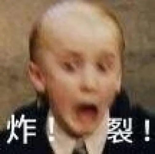 draco·malfoy表情包.