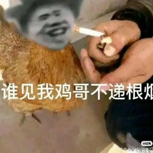 鸡哥经典表情包分享