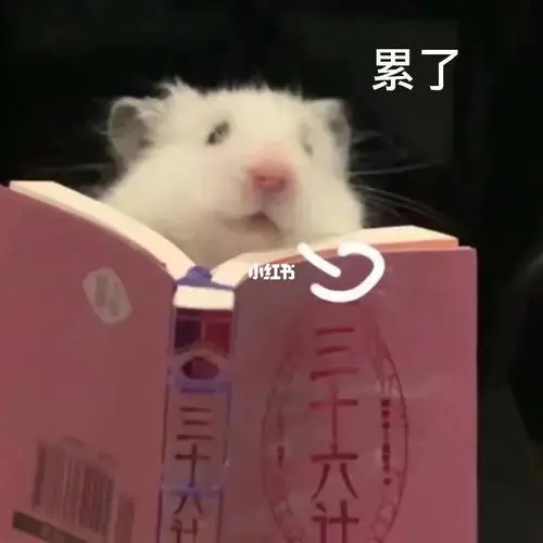 小仓鼠学习表情包