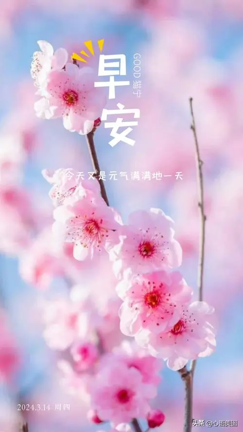 春天早安文案正能量图片文字:听闻不如经历,向往不如出发!