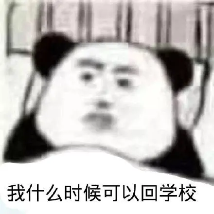 熊猫头我什么时候可以回学校_可以_什么_时候_学校_熊猫表情