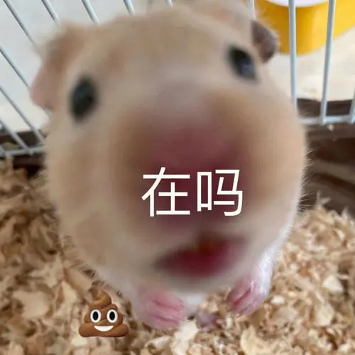 一组超萌仓鼠表情包