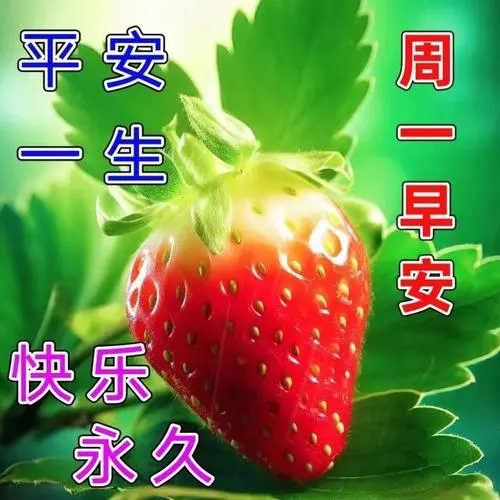 1.早安呀!祝你今天一切顺利,万事如意!
