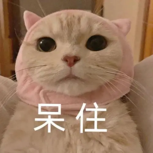 萌宠猫星人呆住无奈呆萌可爱gif动图_动态图_表情包下载_soogif