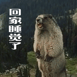 回家睡觉了(土拨鼠呐喊)_土拨鼠_呐喊_睡觉_回家表情
