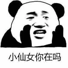 小仙女你在吗