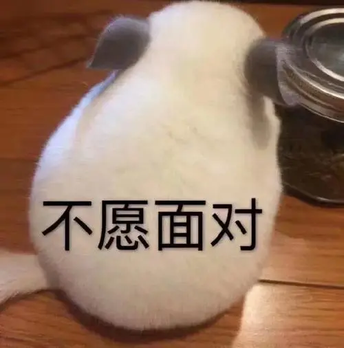 萌宠猫星人不愿面对害怕搞怪呆萌gif动图_动态图_表情包下载_soogif