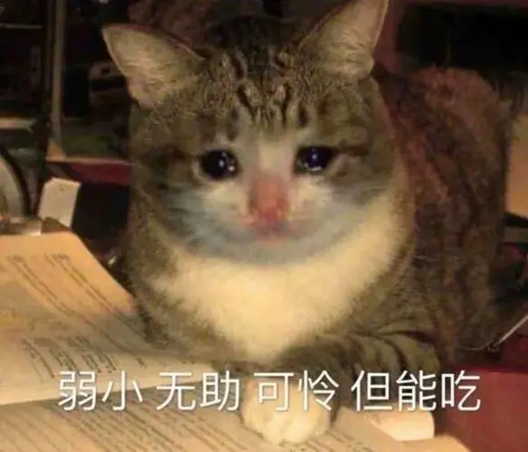 我比较宅,爱吃美食,典型的