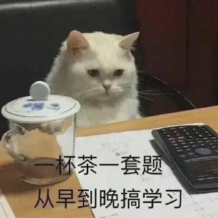 一天穿一套表情包-一天穿一套微信表情包-一天穿一套qq表情包