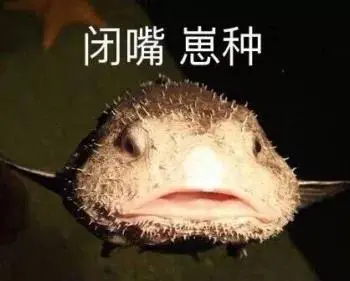 大海里的各种傻吊鱼-斗图表情包-斗图神器-adoutu.com