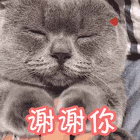 谢谢老板丨第311期喵表情包