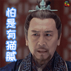 琅琊榜2怕是有猫腻soogifsoogif出品
