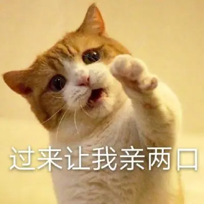 抱着亲表情包