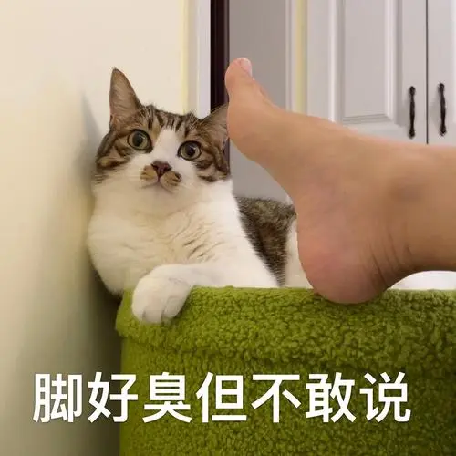 来晒晒我宝的表情包