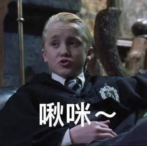 哈利波特的搞笑表情包马尔福