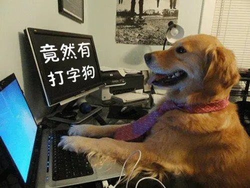 竟然有打字狗_打字_竟然表情