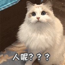人呢表情包