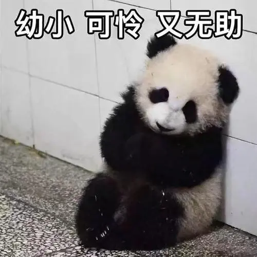 幼小可怜又无助(大熊猫)_幼小_无助_大熊猫_可怜表情
