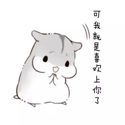 仓鼠表情包:我也不知道为什么喜欢老婆