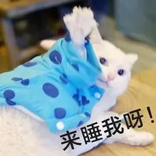 来睡我呀-适合撩骚对象的喵星人表情包_喵星人_撩妹撩汉表情