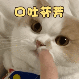 一键删除中国应用?这款印度软件不得了