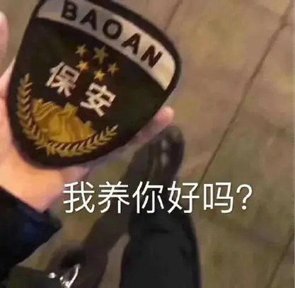 对不起其实我是一名保安保宁一生平安