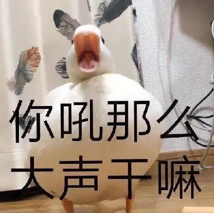 大声的说出来表情包-大声的说出来微信表情包-大声的说出来qq表情