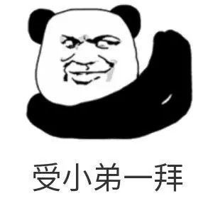 受小弟一拜(熊猫头表情包)_一拜_熊猫_小弟表情