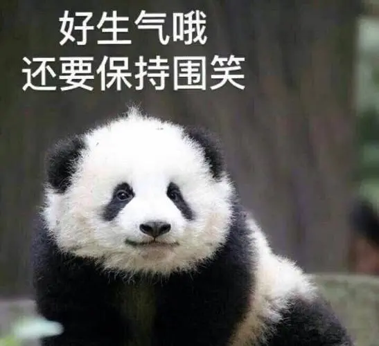 一怒之下怒了一下是什么意思