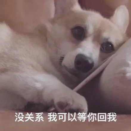 关系我等你我可以等你回我可爱憨憨gif动图_动态图_表情包下载_soogif