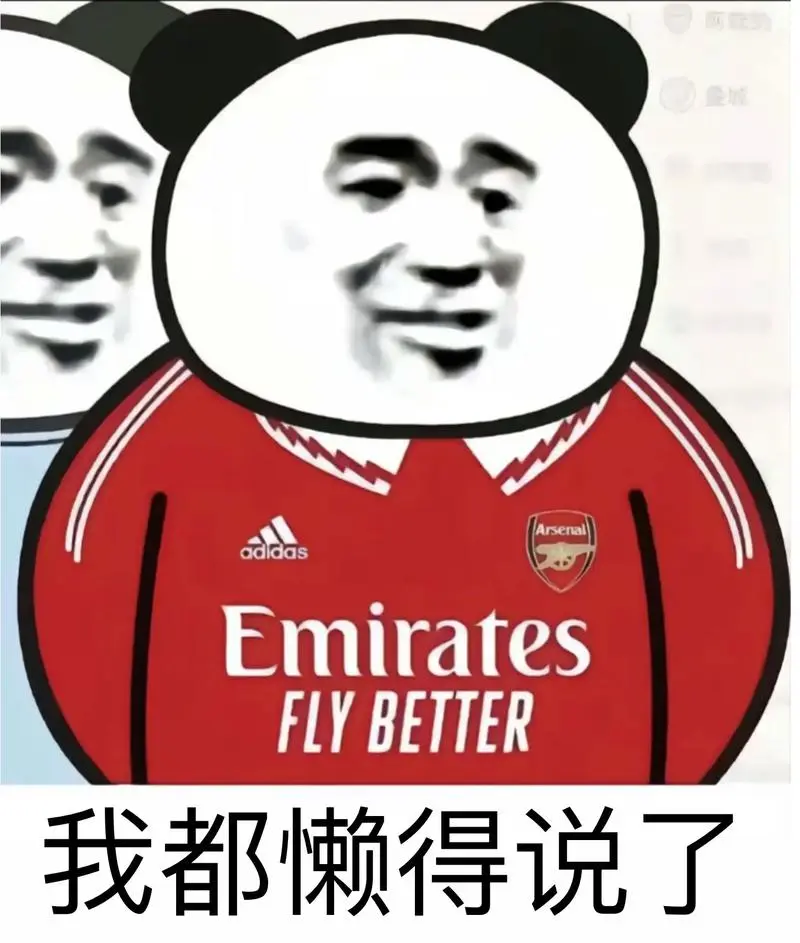 多说无益枪手是冠军0505#我们阿森纳是不可战胜的#英超-抖音