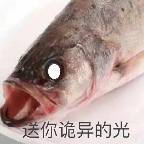 诡异狗是不是真的gif动图_动态图_表情包下载_soogif