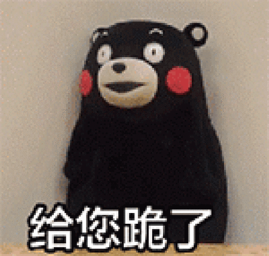 熊本熊可爱墙壁给您跪了gif动图_动态图_表情包下载_soogif