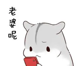 有一只叫做hamham仓鼠表情包老婆版打包下载