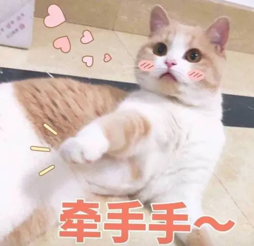 我胖虎出去抽支烟回来要看见五个av网站不然捶死在座的各位表情包