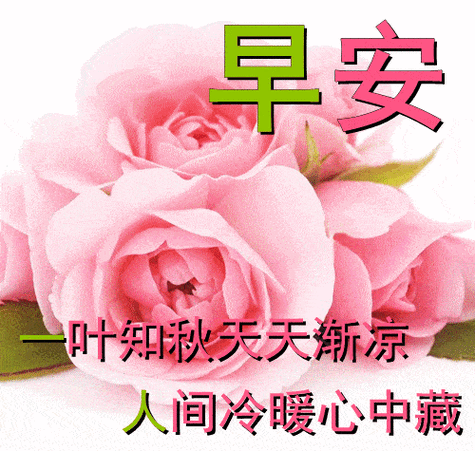 最漂亮早上好动态表情图片大全,早晨好动图美图大全_祝福_开心_爱的