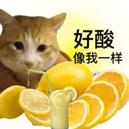 好酸像我一样(猫猫表情包)_好酸_猫猫表情-发表情-fabiaoqing.com